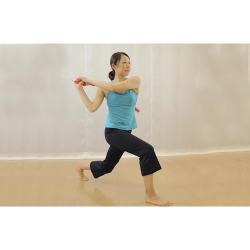 Haru Method Power Balance Pharaoh 440g PB-PHARAOH440 1 bottle