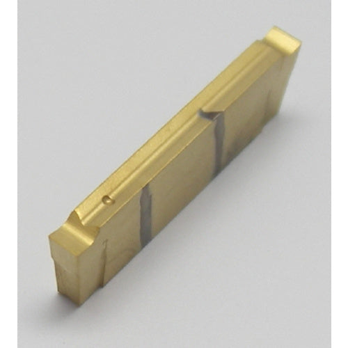 이스컬 드 그립 돌기 가공용 칩 DGN-P IC508 DGN 2000P 10개