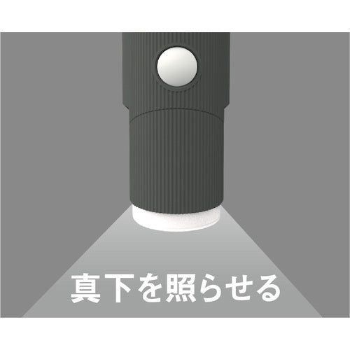 RITEX 4.5W x 1 light Battery-powered simple style sensor light LED-CY130 1 unit