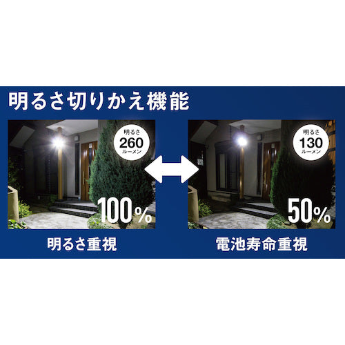 RITEX 4.5W x 1 light Solar simple style sensor light S-CY30 1 unit