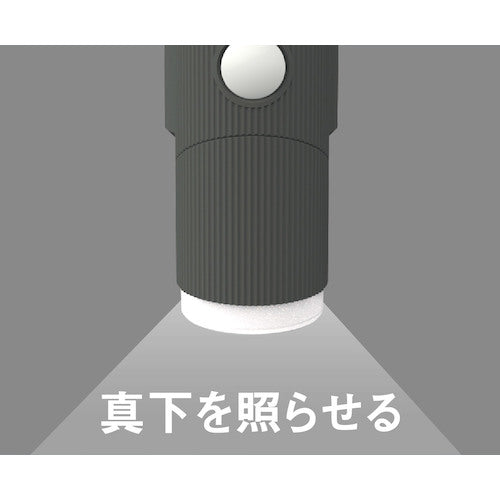 RITEX 4.5W x 1 light Solar simple style sensor light S-CY30 1 unit