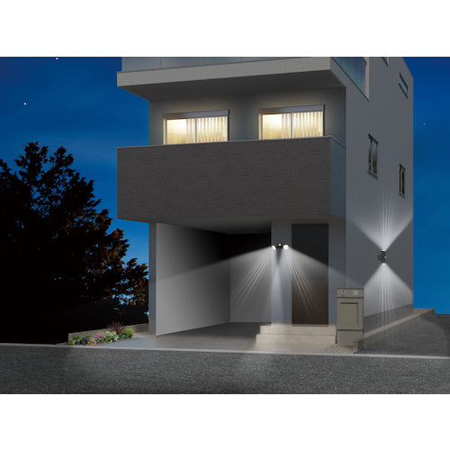 RITEX 4.5W x 2 bulbs Solar simple style sensor light S-CY60 1 unit