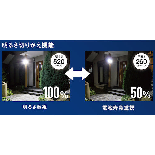 RITEX 4.5W x 2 bulbs Solar simple style sensor light S-CY60 1 unit