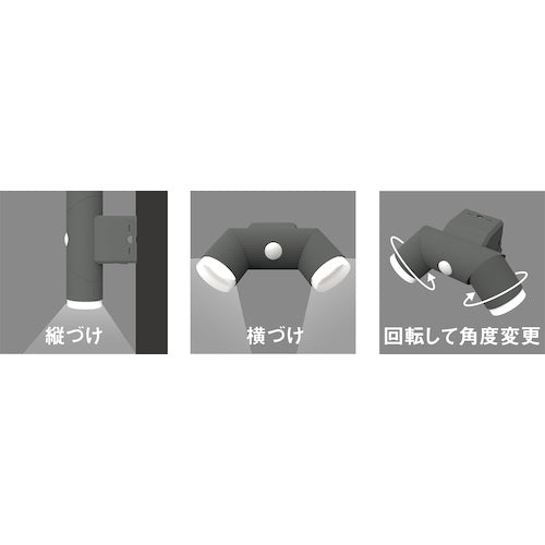 RITEX 4.5W x 2 bulbs Solar simple style sensor light S-CY60 1 unit