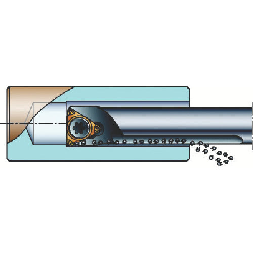 Sandvik Coromant 107 Positive Insert Boring Bit (210) A06F-STUCR05-GR 1 piece