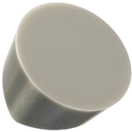 샌드빅 T-Max 선삭용 포지칩(615) 6060 RCGX090700E 10개