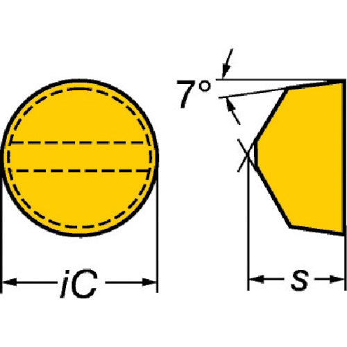 샌드빅 T-Max 선삭용 포지칩(615) 6060 RCGX120700E 10개