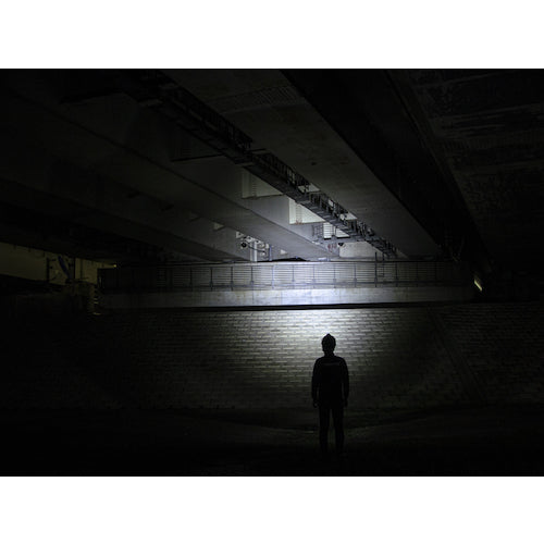 GENTOS G Series Hybrid LED Headlight 200RG GH-200RG 1 unit