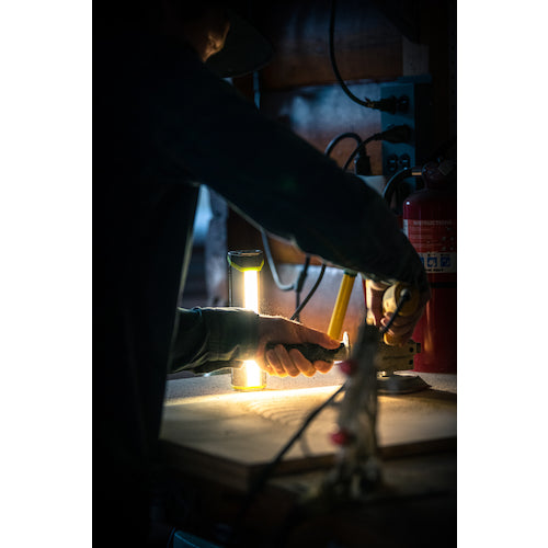 GoalZero 태양 전지 패널이있는 LED 플래시 라이트 토치 500 90 115 1 개