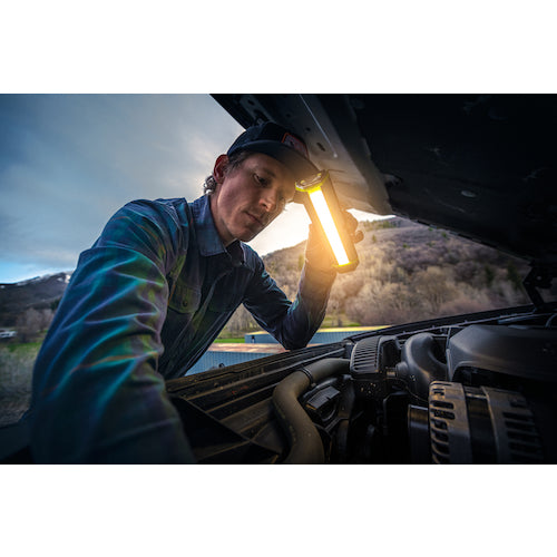 GoalZero 태양 전지 패널이있는 LED 플래시 라이트 토치 500 90 115 1 개