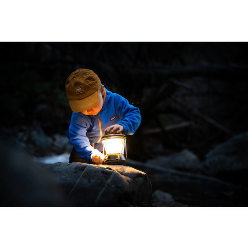 GoalZero Dynamo Hand-Crank Charging LED Light Lighthouse 600 32010 1 pc