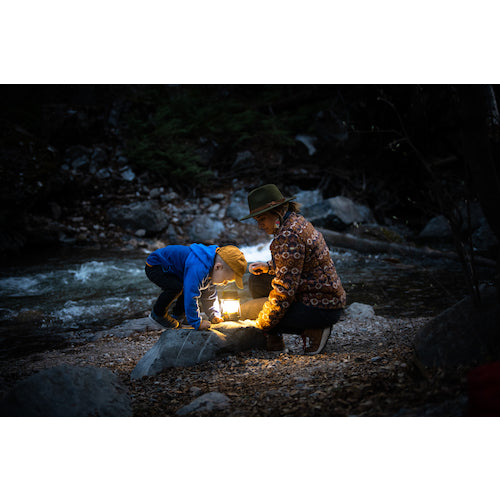 GoalZero Dynamo Hand-Crank Charging LED Light Lighthouse 600 32010 1 pc