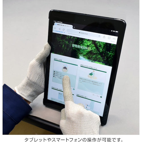 HOZAN ESD Gloves F-62-L 1 pair