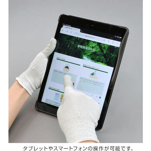 HOZAN ESD Gloves F-62-M 1 pair