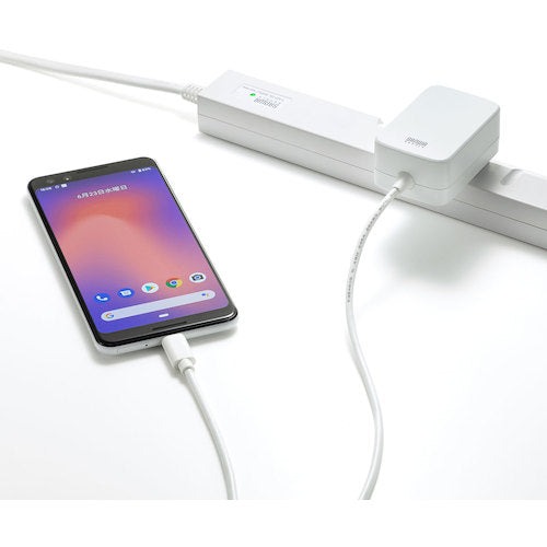 ＳＡＮＷＡ　ＵＳＢ　ＰＤ対応ＡＣ充電器（ＵＳＢ　ＴｙｐｅＣケーブル一体型１８Ｗ）　ACA-PD82W　1 個