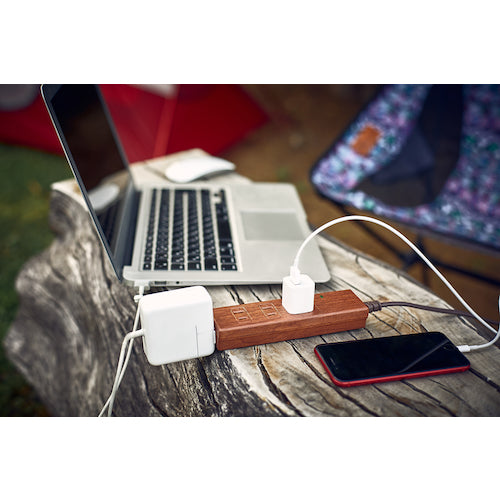 Ｆａｒｇｏ　ＮＡＴＵＲＡＬ　ＷＯＯＤ　ＴＡＰ　ＡＣ４個口　ダークウッド　PT402DW　1 個