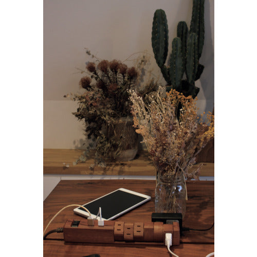 Ｆａｒｇｏ　ＴＡＰＫＩＮＧ　ＵＳＢ　ＡＣ６個口　３．４Ａ　ＵＳＢ　２ポート　　ダークウッド　PT601DW　1 個