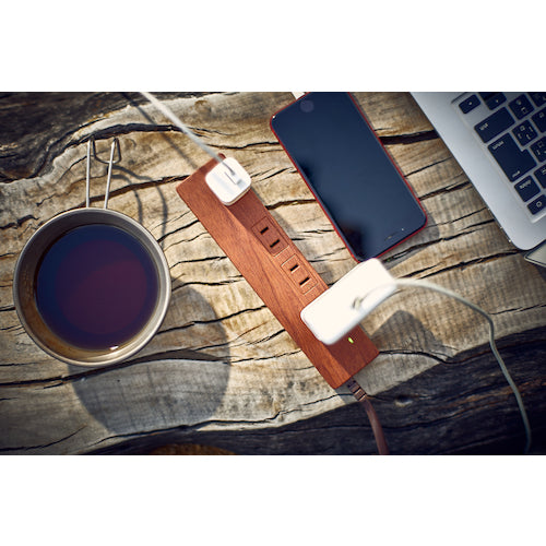 Ｆａｒｇｏ　ＮＡＴＵＲＡＬ　ＷＯＯＤ　ＴＡＰｐ　ＡＣ４個口　個別スイッチ付　ダークウッド　PT403DW　1 個