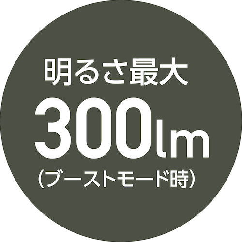 ＭＵＳＴＴＯＯＬ　ＭＦＬ−３０１Ｒ　充電式フラッシュライト　３００ｌｍ　87256　1 個