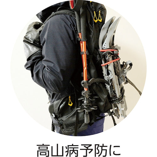 CAR-BOY 옥시 체커 FM-110 1개