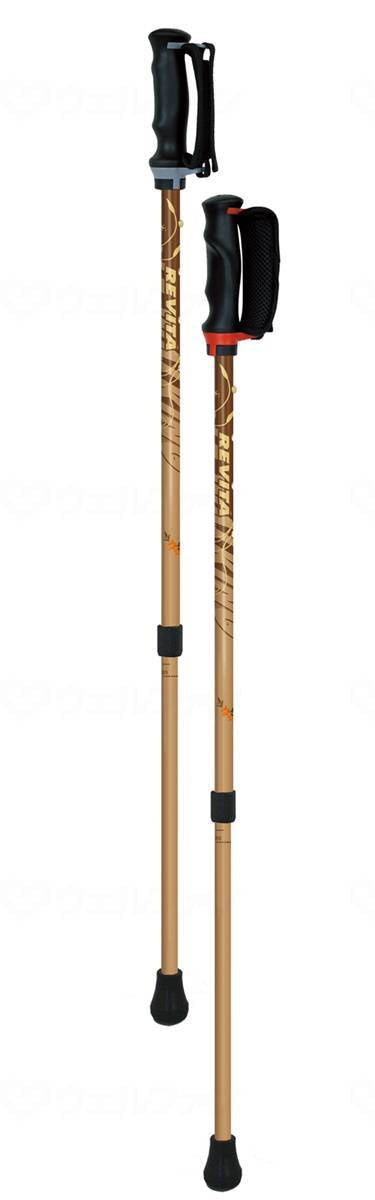 シナノあんしん２本杖（2本組） ﾌﾞﾗｳﾝ