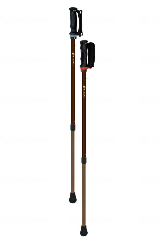 シナノあんしん2本杖 ﾌﾞﾗｳﾝ