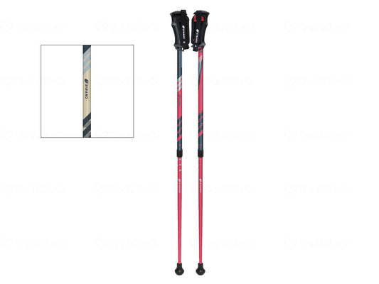 시나노 레비타 라 쿠션 비지