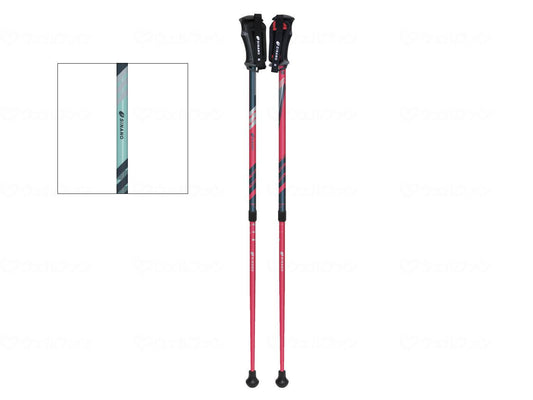 시나노 레비타 라쿤쵸