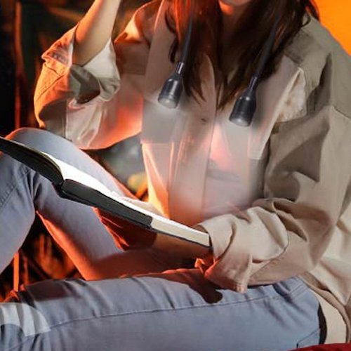 グリーンクロス　フレキシブルネックライト　6300021008　1 台