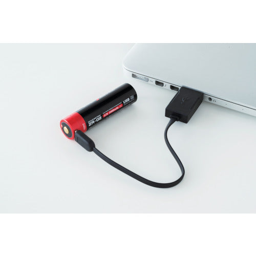 ＺＥＸＵＳ　ＬＥＤ　ヘッドライト　ＺＸ−Ｒ７３０　ZX-R730　1 個