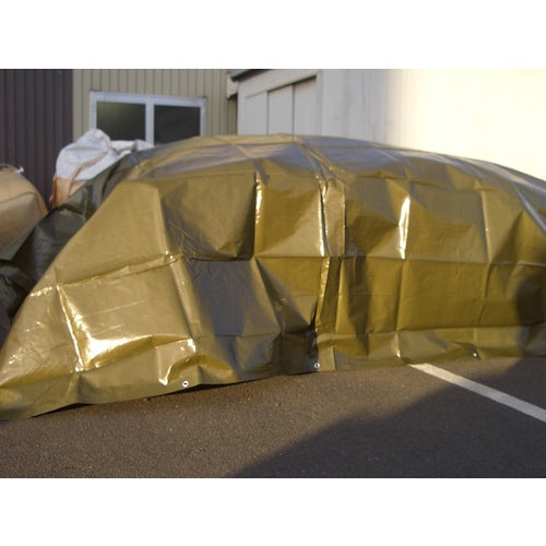 萩原　ターピーシート　＃３０００（カラーシート）　ＯＤグリーン　３．６ｍ×５．４ｍ　TPOD3654　1 枚