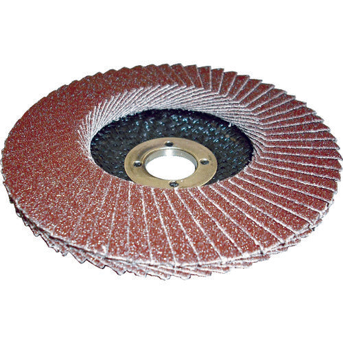 AC PGA-X Flap Disc A PGAX10015-A-60 10 pieces
