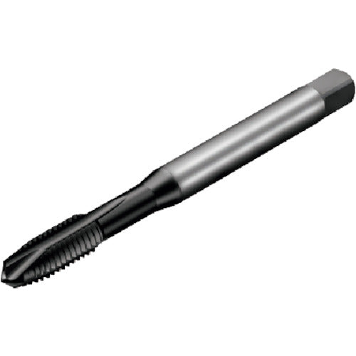 サンドビック　コロタップ２００　ポイントタップ（７８０）　Ｐ１ＰＭ　T200-PM100JA-M3　1 本