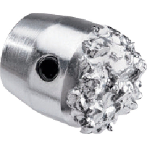 ＲＩＤＧＩＤ　フレックスシャフト（Ｋ９−３０６）専用推進チップ　71858　1 個