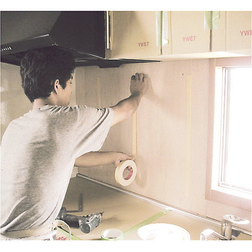 SLIONTEC 패널 테이프 25mm 556720-00-25X10 1 권