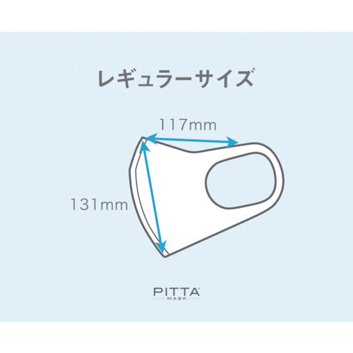 Arax Pitta Mask Regular Gray 3 pieces 157293 1 bag