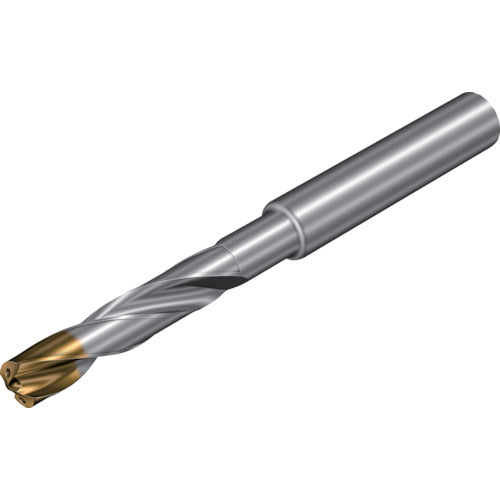 샌드빅 콜로드릴 860-GM 초경 솔리드 드릴(720) X1BM 860.1-1000-029A1-GM 1개