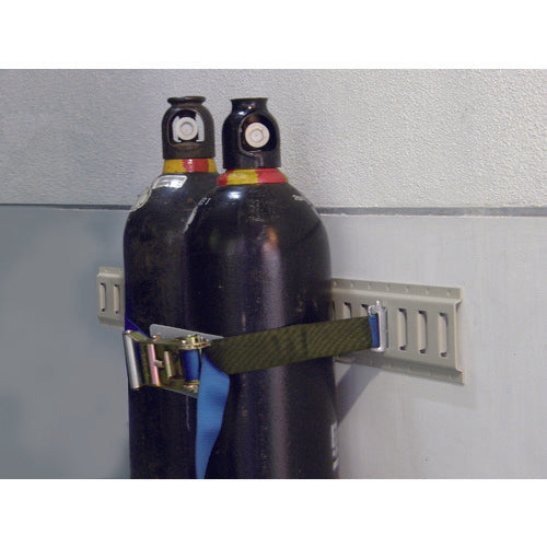 ＳＡＮＳＨＩＮ　ラッシングレール　１０００Ｌ　LRAP-1P　1 本