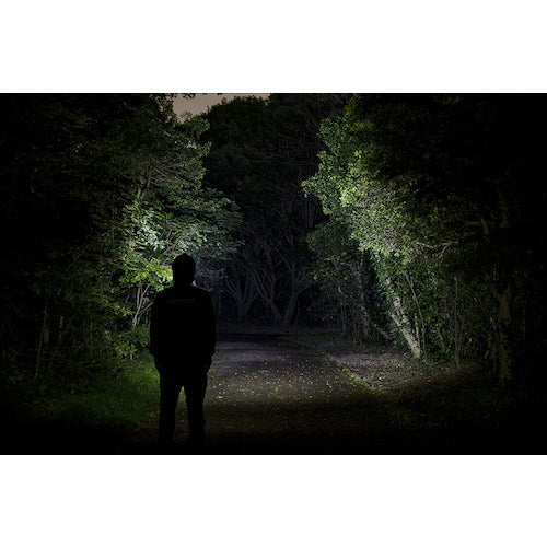 GENTOS G 시리즈 하이브리드식 자동 조광 기능 탑재형 LED 헤드라이트 109RG GH-109RG 1대