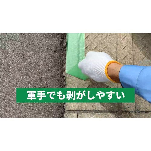 Pyorran Painting and Construction Protection Tape 25mm x 25m Green Y-09-GR 25MM 1 Roll