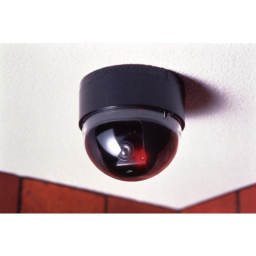 Green Cross Dummy Security Camera with CDS Sensor, Dome Type, 352074, 1 pc