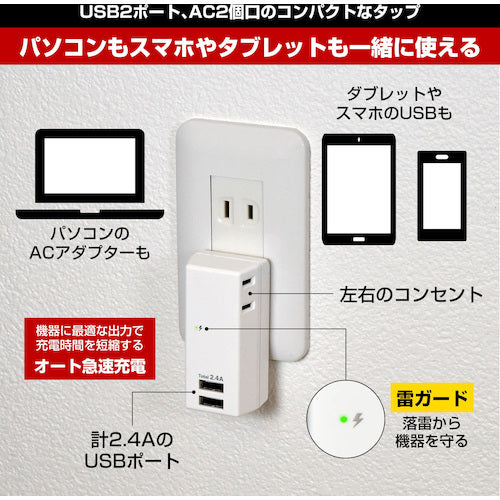 ELPA Lightning Resistant USB Tap 2 Outlets 2 Ports 2.4A UA-222SL 1 pc