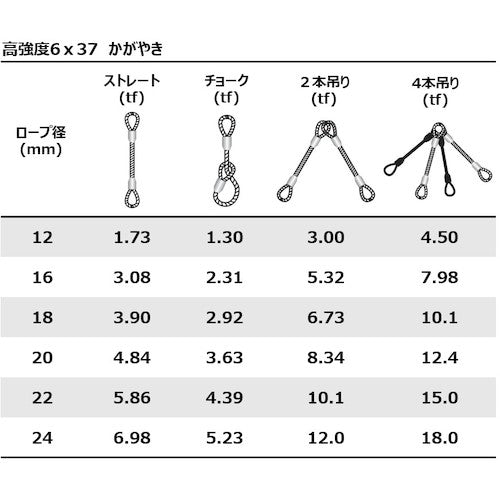 大綱　【売切廃番】　高強度６×３７　かがやき　１３ｍｍ　６ｍ　KG-1360　1 本