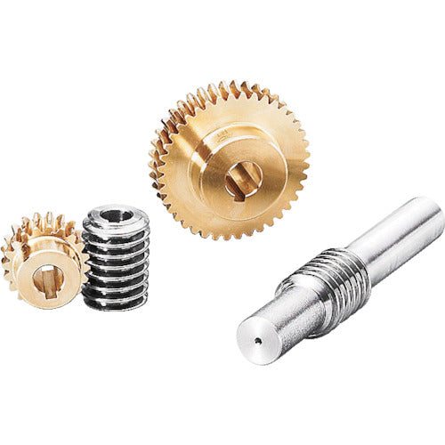 ＫＧ　ウォーム　Ｗ１ＳＬ２＋Ｂ　モジュール１．０　圧力角２０度（並歯）　Ｓ４５Ｃ　精密転造仕上　　W1SL2+B　1 個