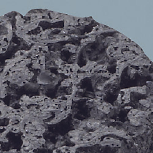 3M CNS축 부착 유니휠(축경 6mm) #120 상당 외경 25mm CNSU 25X25X6 5개