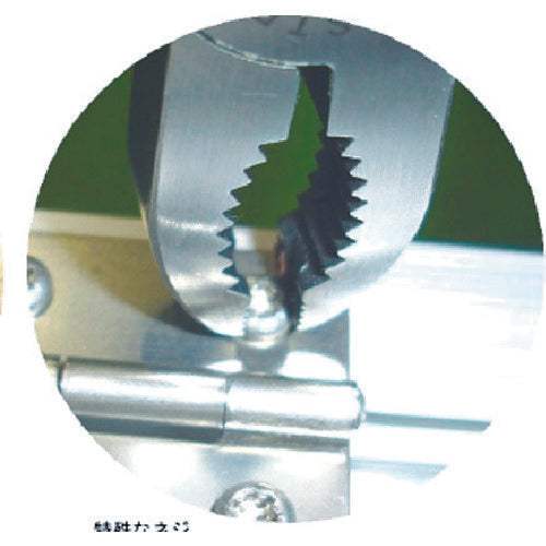 새우 네지안 기라스 플라이어 175 mm NA175 1 쵸