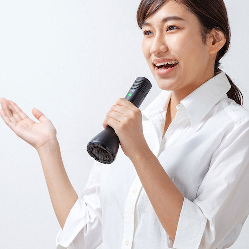 SANWA Handheld Microphone Type Amplifier Speaker MM-SPAMP11N 1 unit