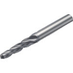 Sandvik CoroMill Plura Solid Carbide End Mill (730) 1620 R216.54-06040RAL40G 1 piece