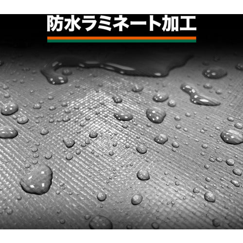 ＴＲＵＳＣＯ　＃４０００エコＵＶシート　幅１０．０ｍＸ長さ１０．０ｍ　シルバー　TUV4000SV1010　1 枚