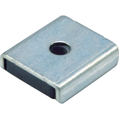 Optical Capped Anisotropic Ferrite Square with Hole 2 Pieces in 1 Pack MGC-25 1 PK